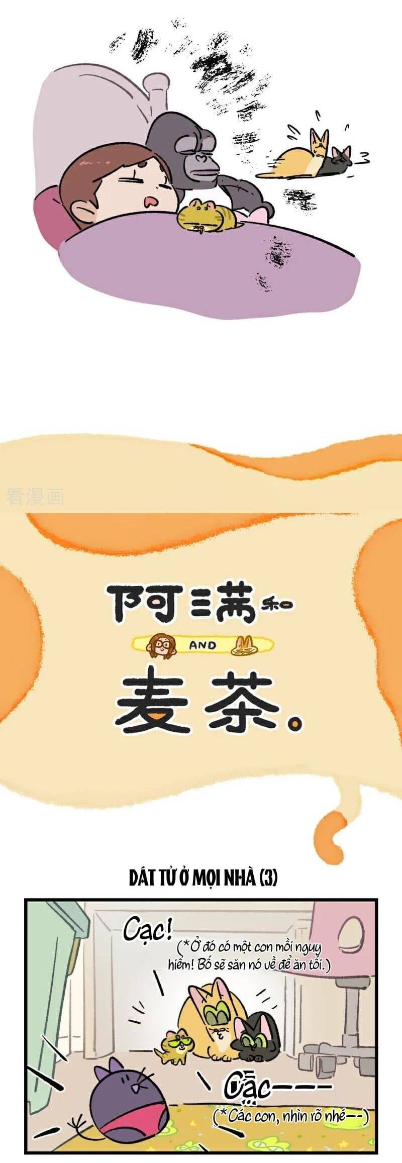 A Mãn Và Mạch Trà Chapter 230 - 4