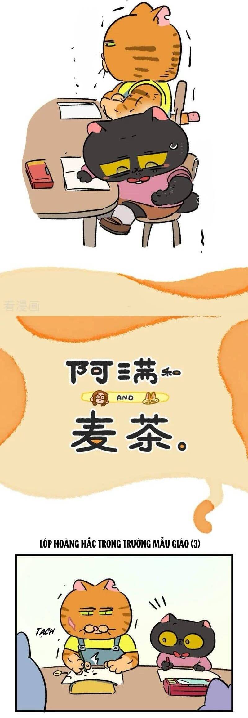 A Mãn Và Mạch Trà Chapter 232 - 4