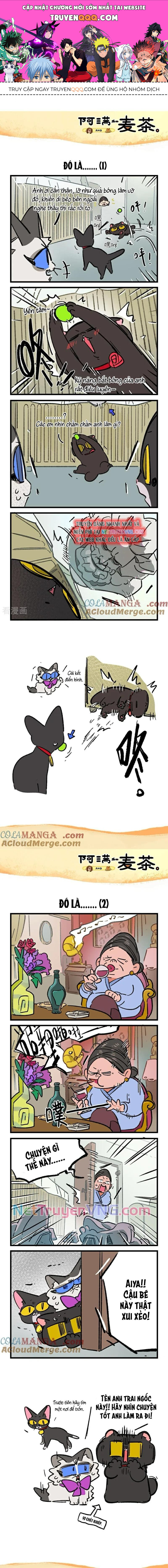 A Mãn Và Mạch Trà Chapter 237 - 1