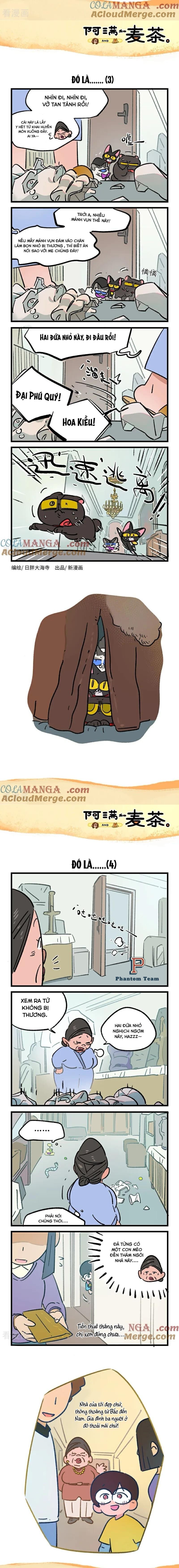 A Mãn Và Mạch Trà Chapter 237 - 2