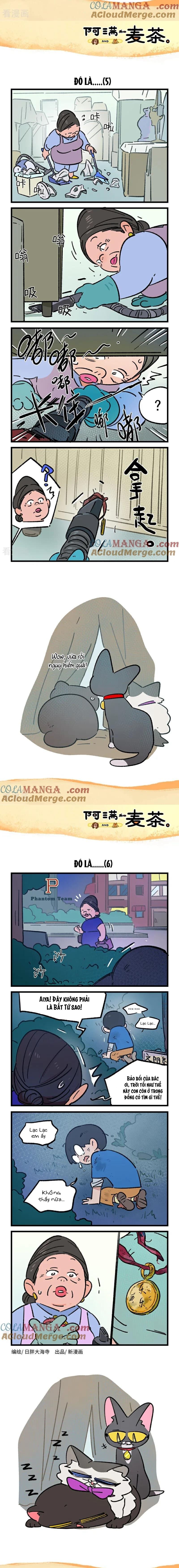 A Mãn Và Mạch Trà Chapter 237 - 3