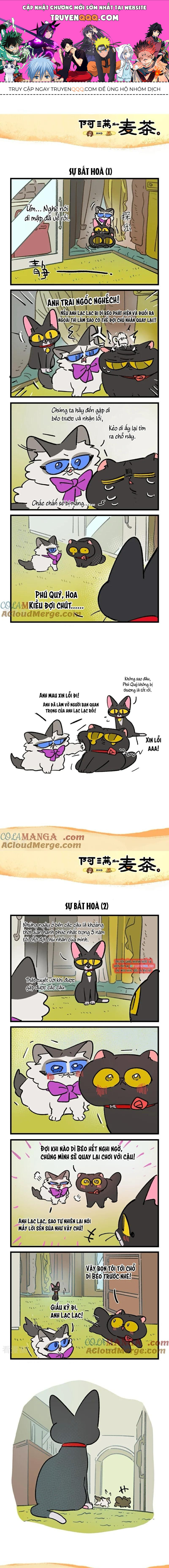 A Mãn Và Mạch Trà Chapter 238 - 1