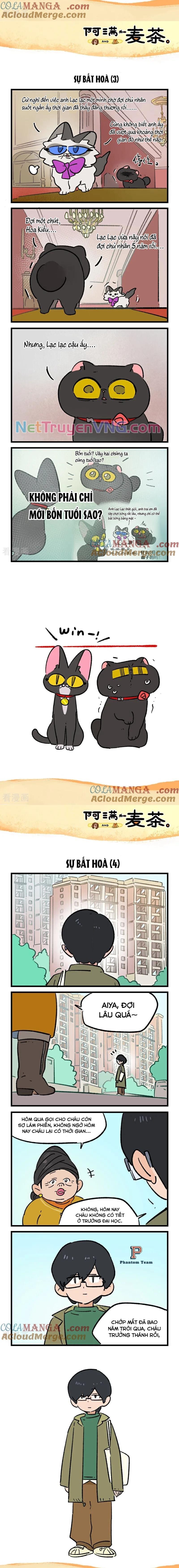 A Mãn Và Mạch Trà Chapter 238 - 2