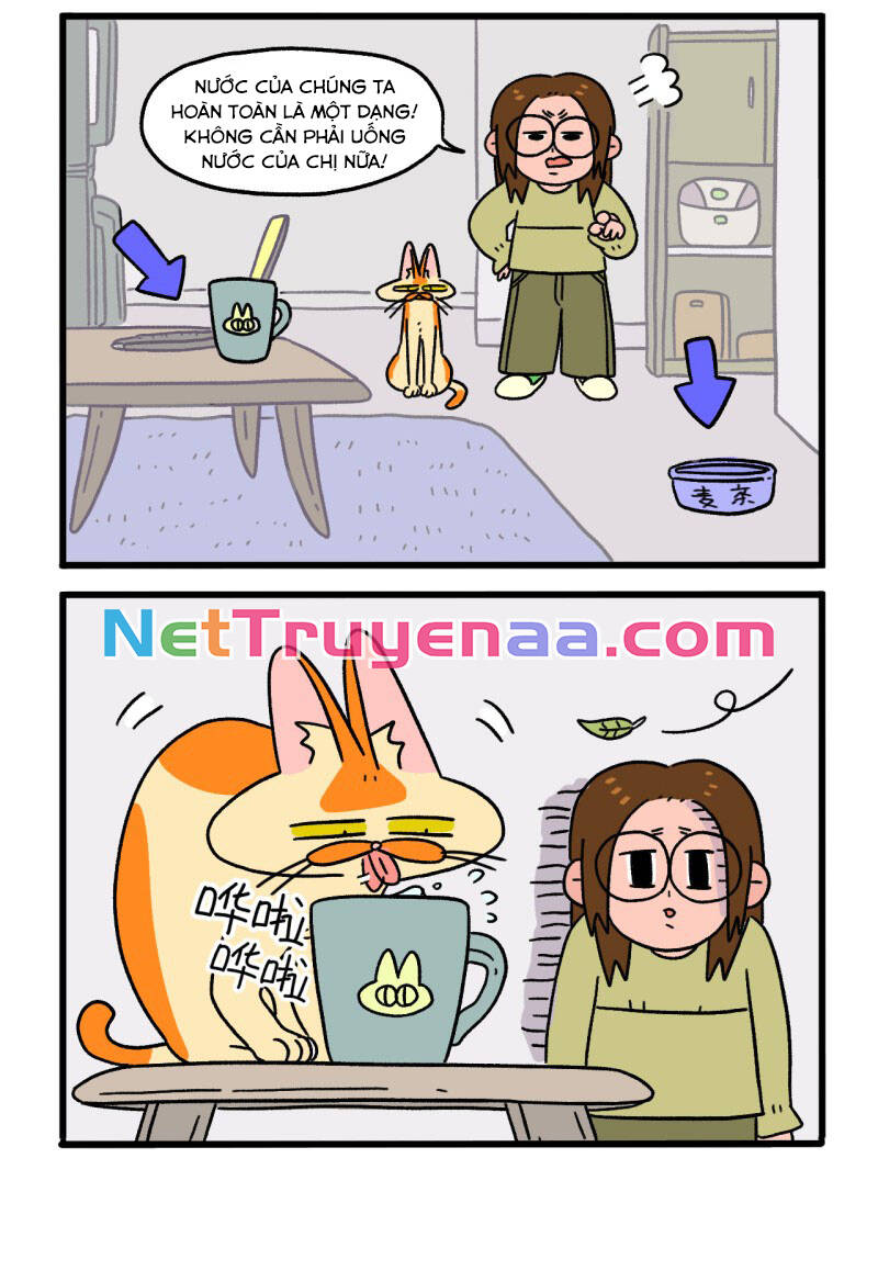 A Mãn Và Mạch Trà Chapter 26 - 4