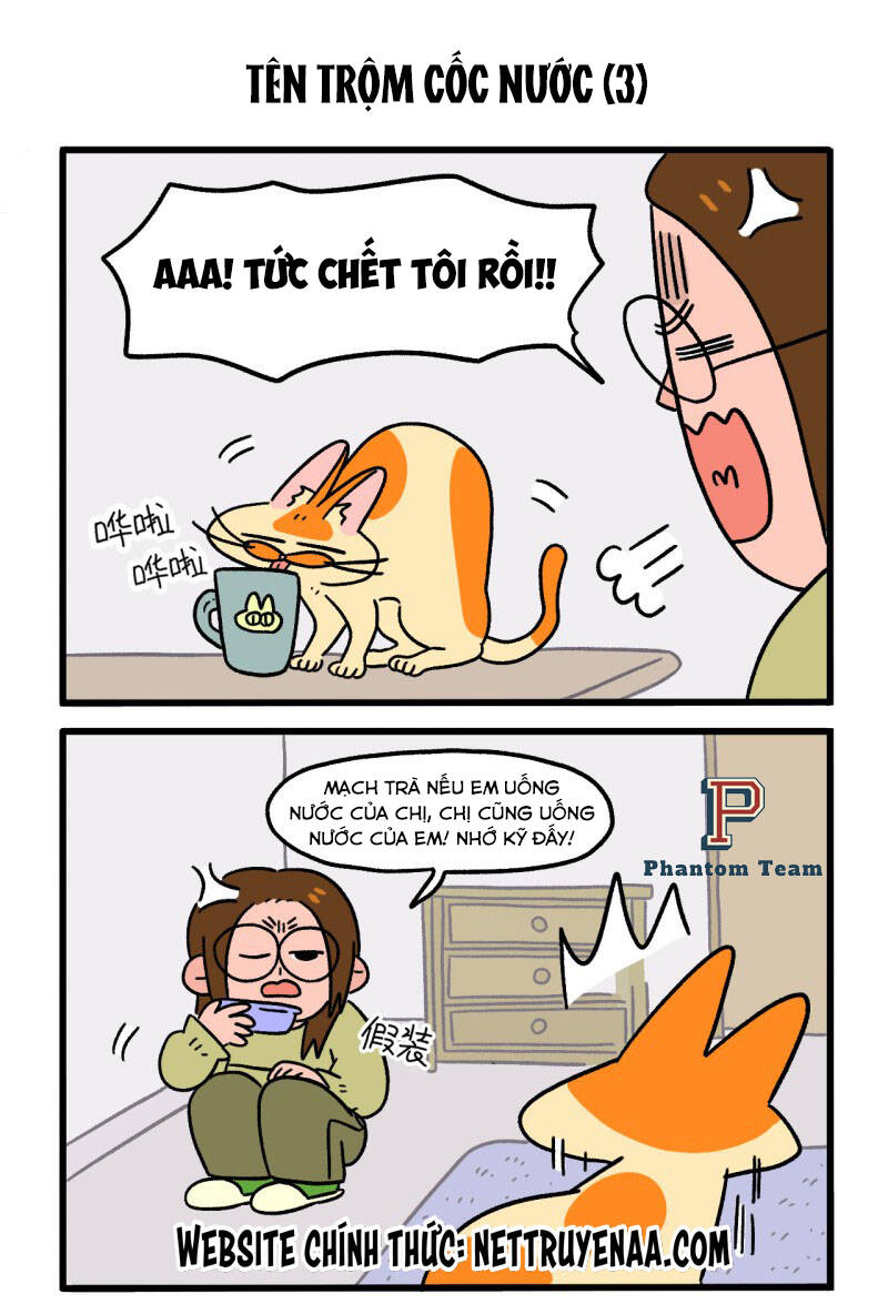 A Mãn Và Mạch Trà Chapter 26 - 5