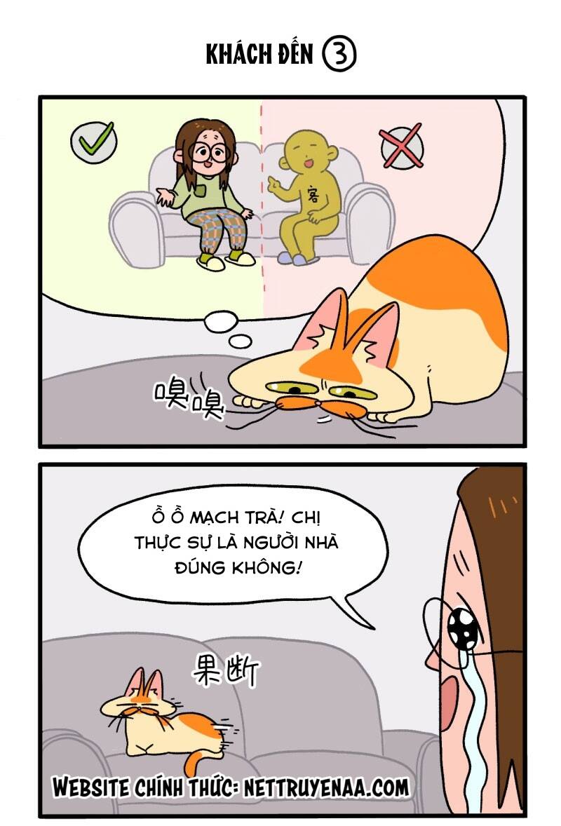 A Mãn Và Mạch Trà Chapter 3 - 5