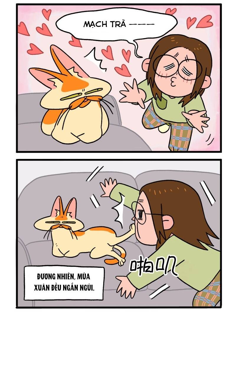 A Mãn Và Mạch Trà Chapter 3 - 6