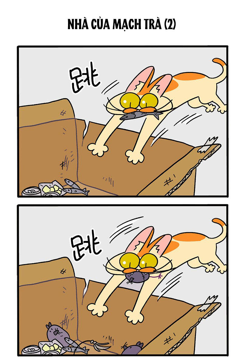 A Mãn Và Mạch Trà Chapter 30 - 3