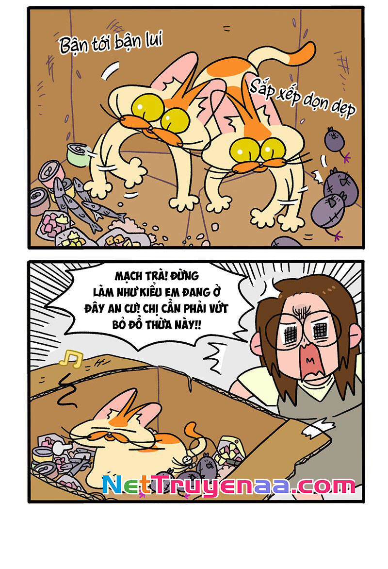 A Mãn Và Mạch Trà Chapter 30 - 4