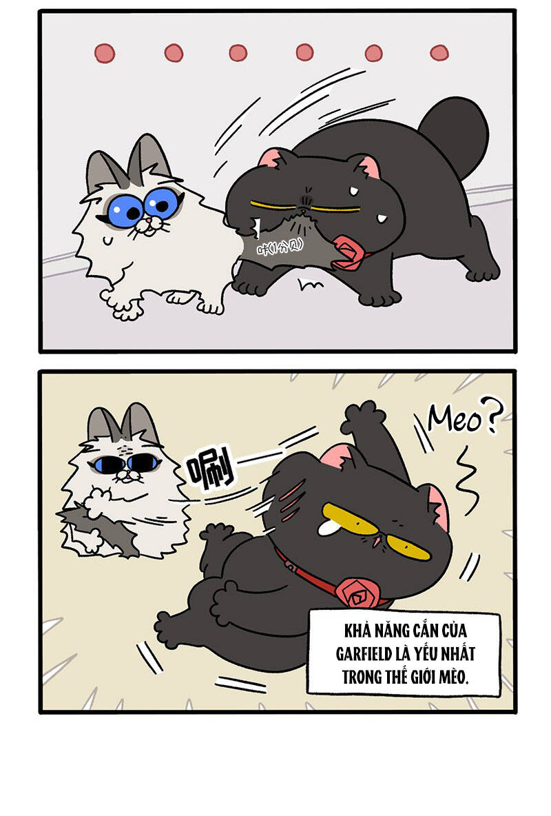 A Mãn Và Mạch Trà Chapter 31.1 - 4