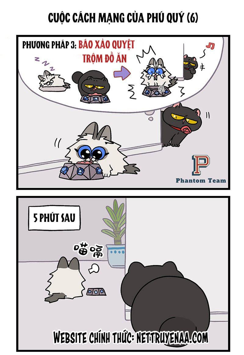 A Mãn Và Mạch Trà Chapter 31.1 - 5