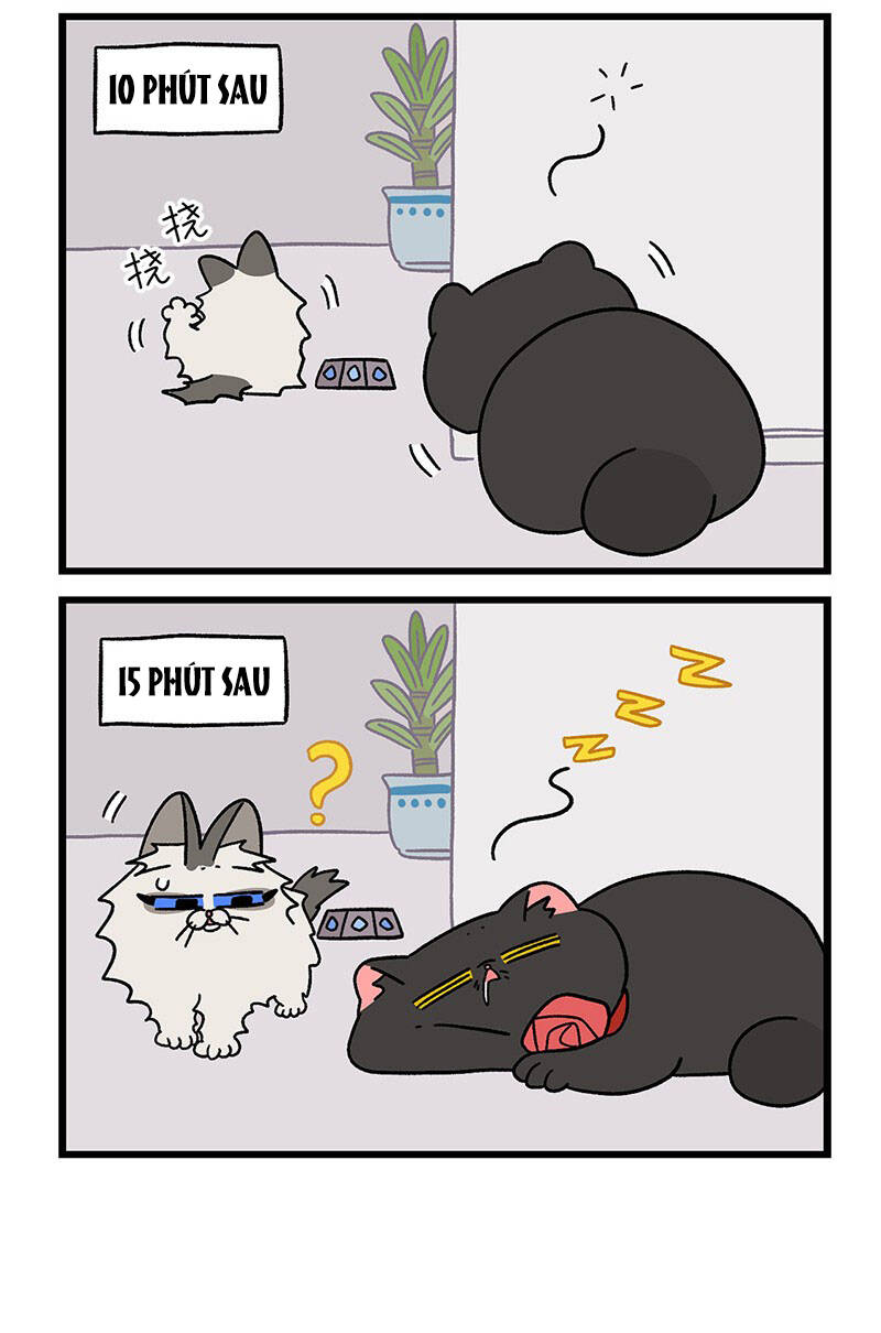 A Mãn Và Mạch Trà Chapter 31.1 - 6