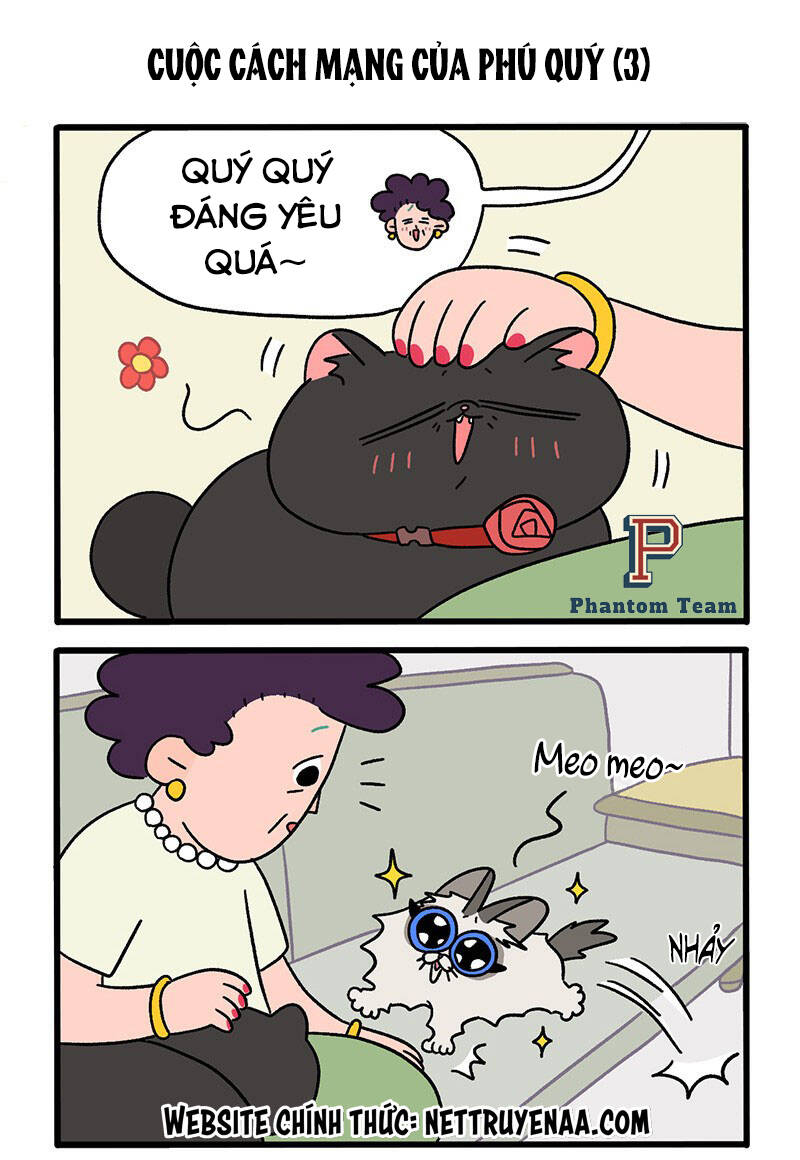 A Mãn Và Mạch Trà Chapter 31 - 5