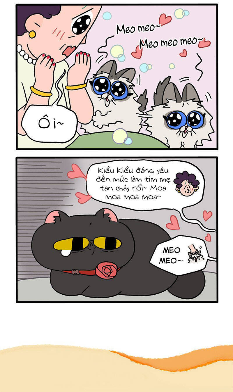 A Mãn Và Mạch Trà Chapter 31 - 6