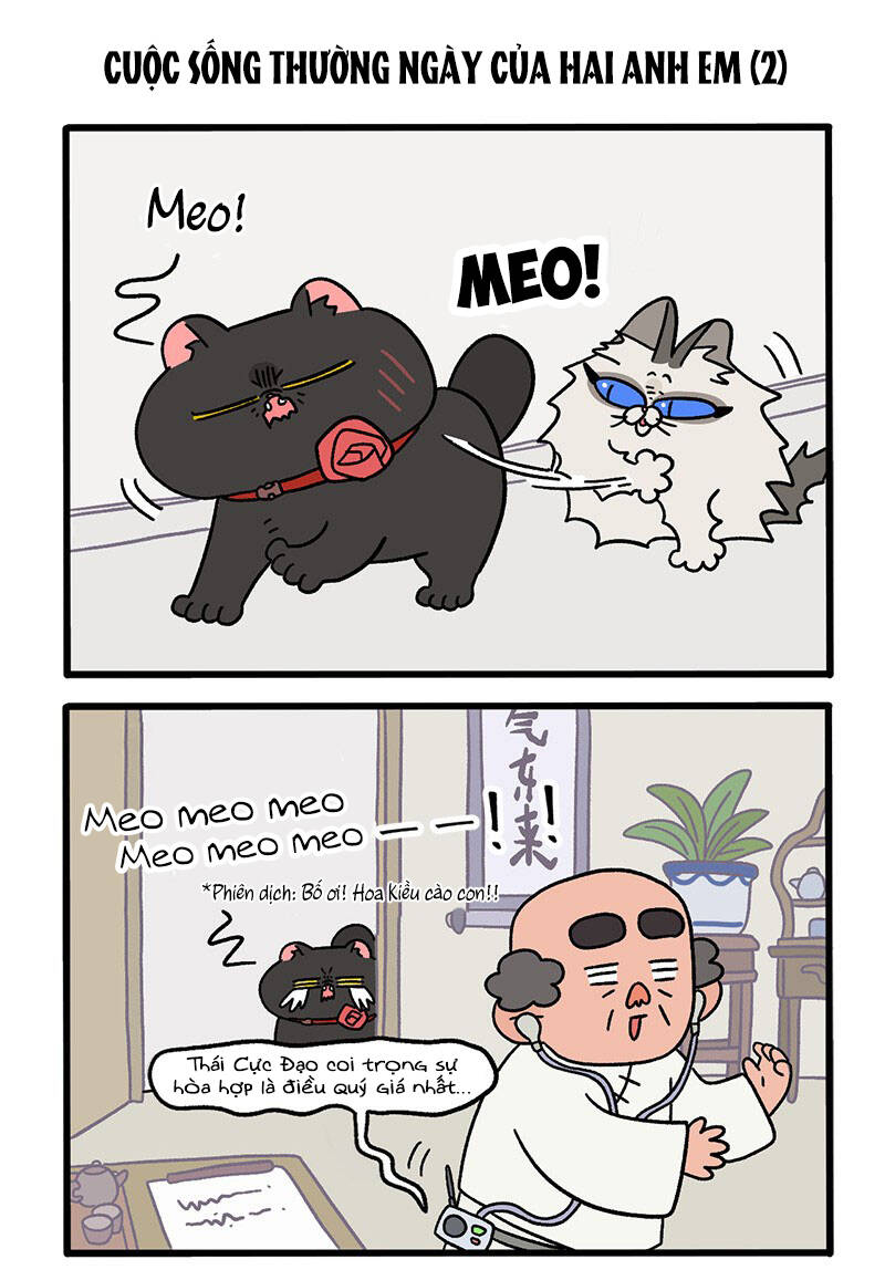 A Mãn Và Mạch Trà Chapter 32 - 3