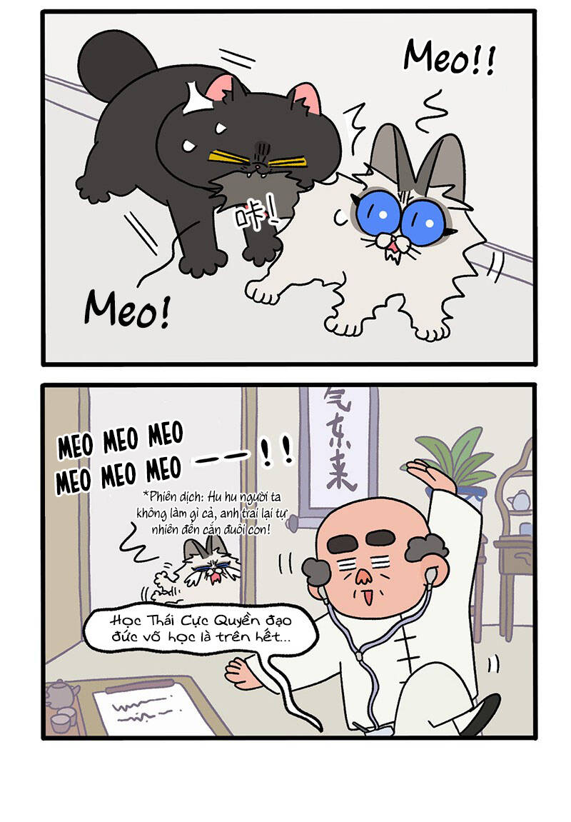 A Mãn Và Mạch Trà Chapter 32 - 4