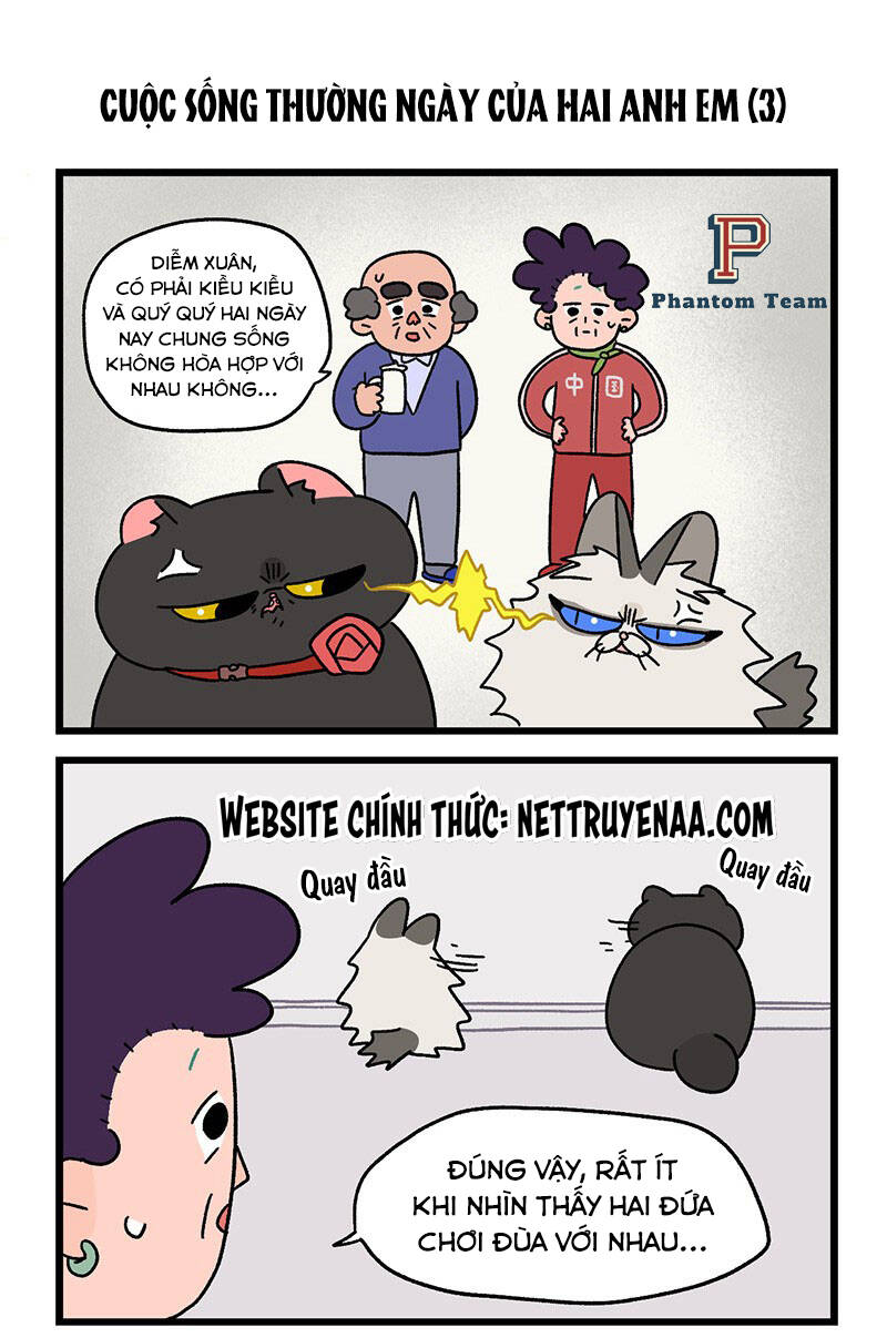 A Mãn Và Mạch Trà Chapter 32 - 5