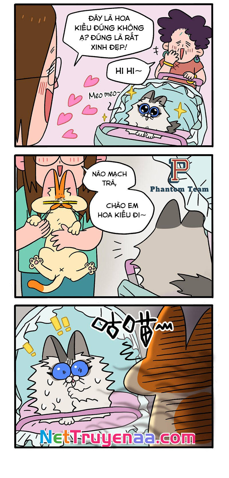 A Mãn Và Mạch Trà Chapter 33 - 2