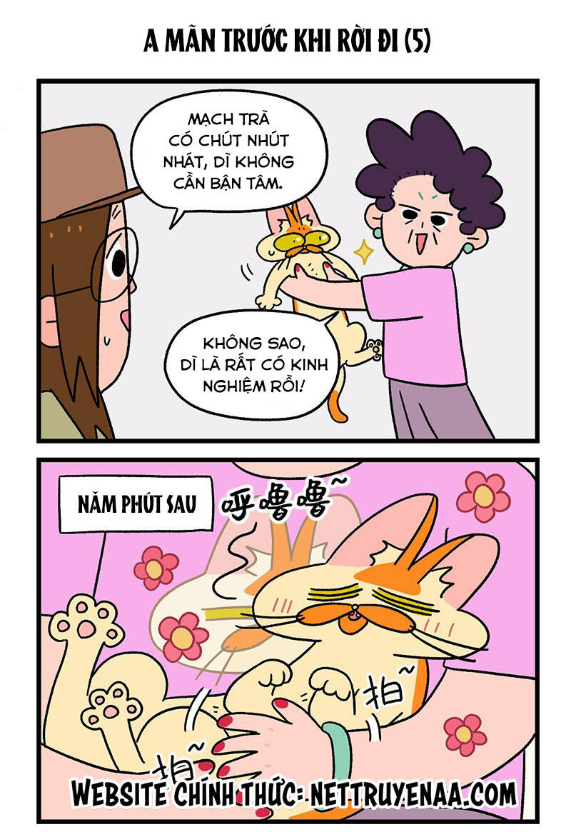 A Mãn Và Mạch Trà Chapter 34.1 - 5