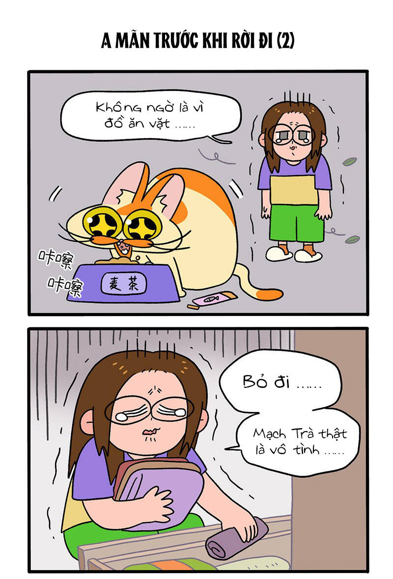 A Mãn Và Mạch Trà Chapter 34 - 3