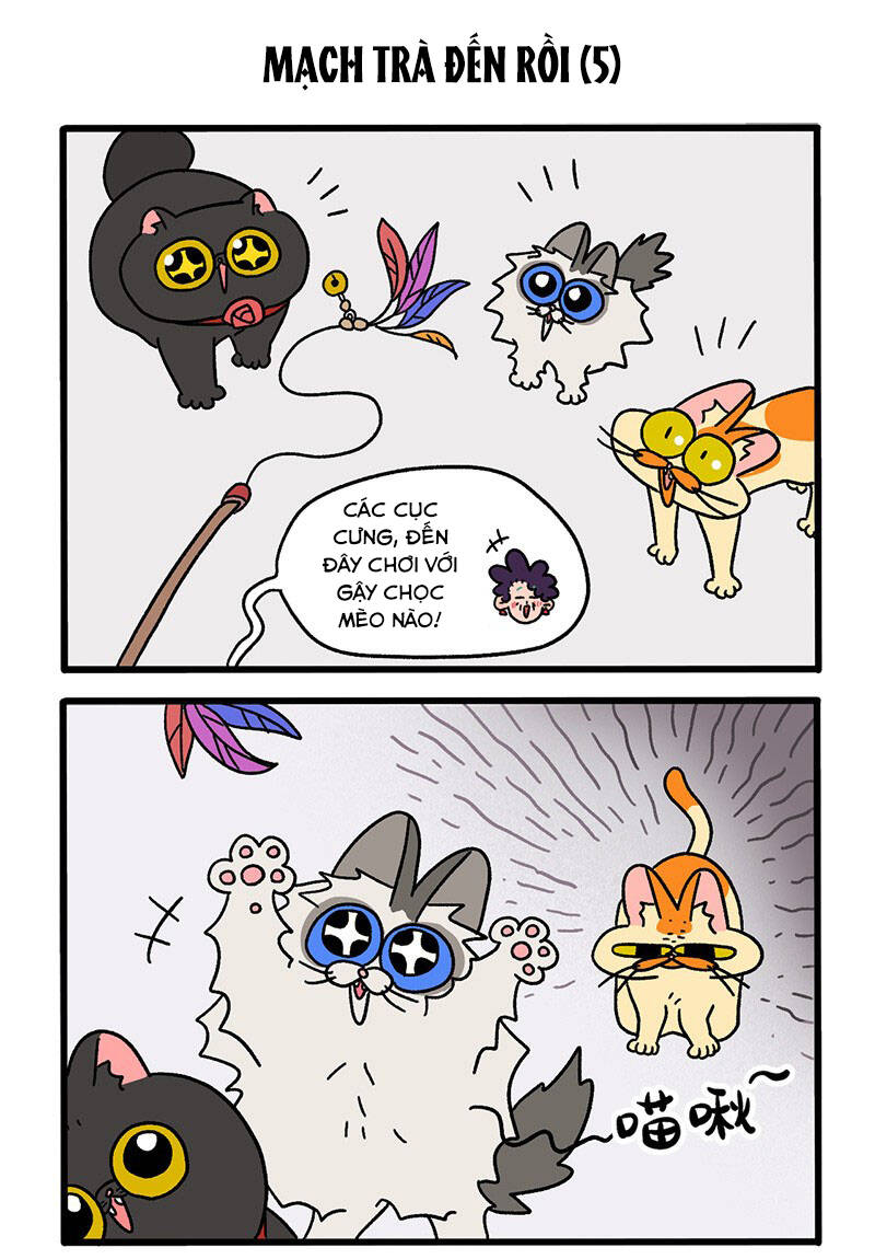 A Mãn Và Mạch Trà Chapter 35.1 - 3