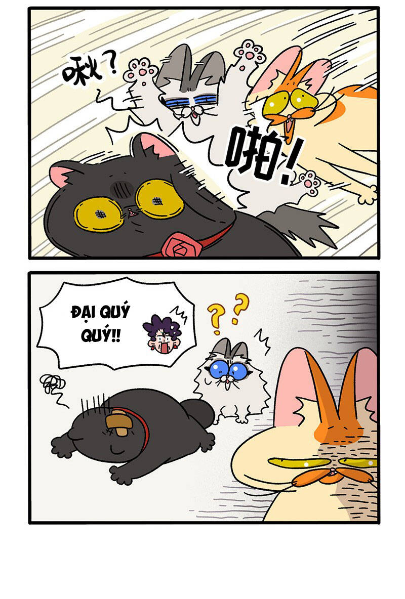 A Mãn Và Mạch Trà Chapter 35.1 - 4