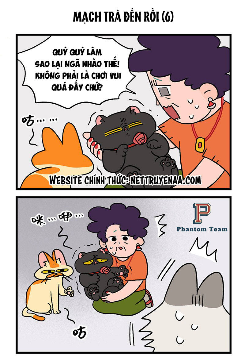 A Mãn Và Mạch Trà Chapter 35.1 - 5