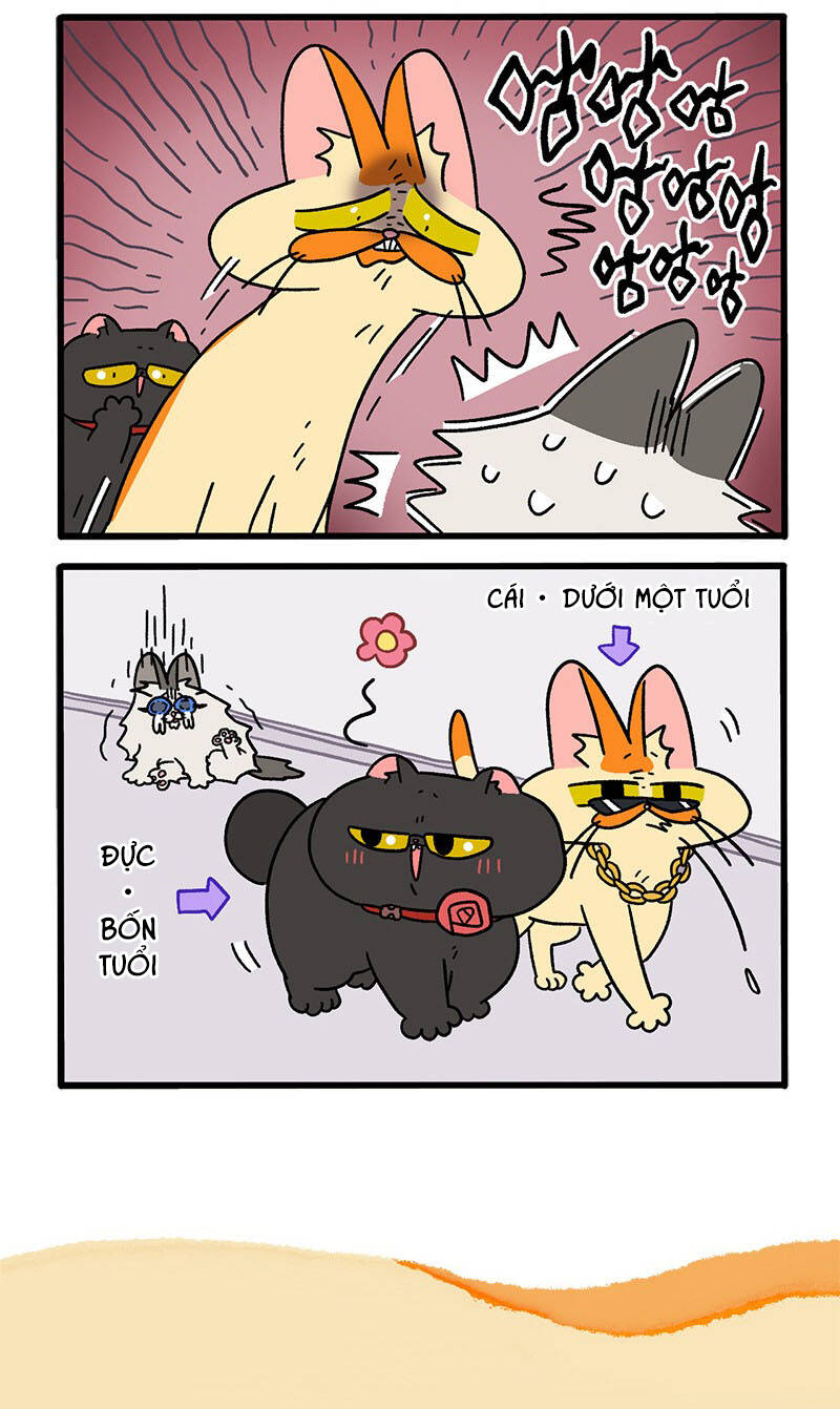 A Mãn Và Mạch Trà Chapter 35 - 6