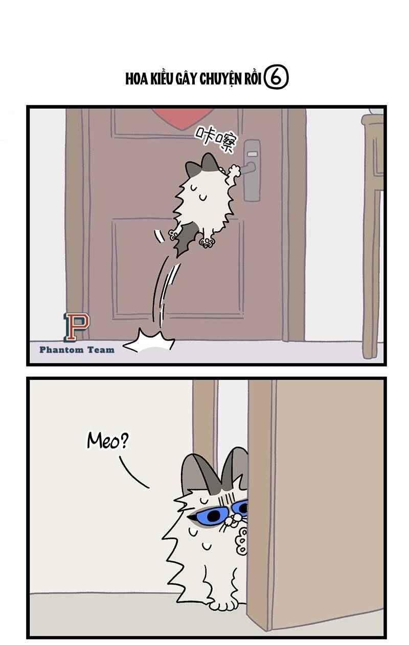 A Mãn Và Mạch Trà Chapter 36.1 - 5