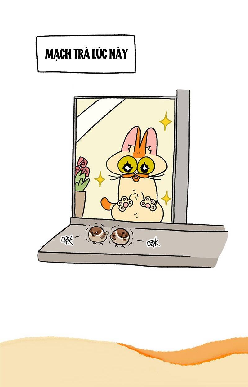 A Mãn Và Mạch Trà Chapter 36.1 - 7