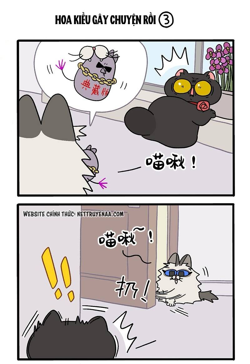 A Mãn Và Mạch Trà Chapter 36 - 5