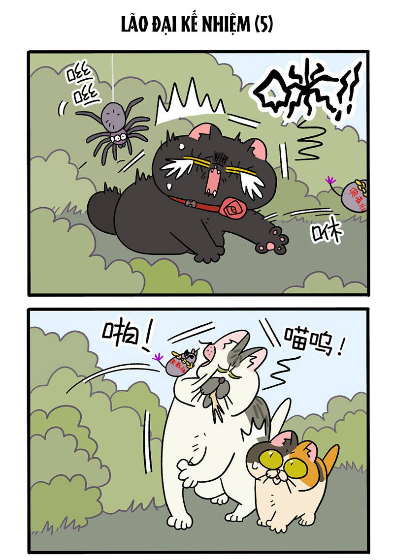 A Mãn Và Mạch Trà Chapter 37.1 - 3