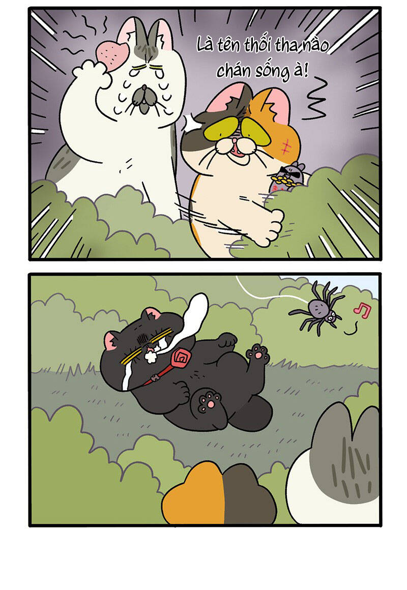 A Mãn Và Mạch Trà Chapter 37.1 - 4