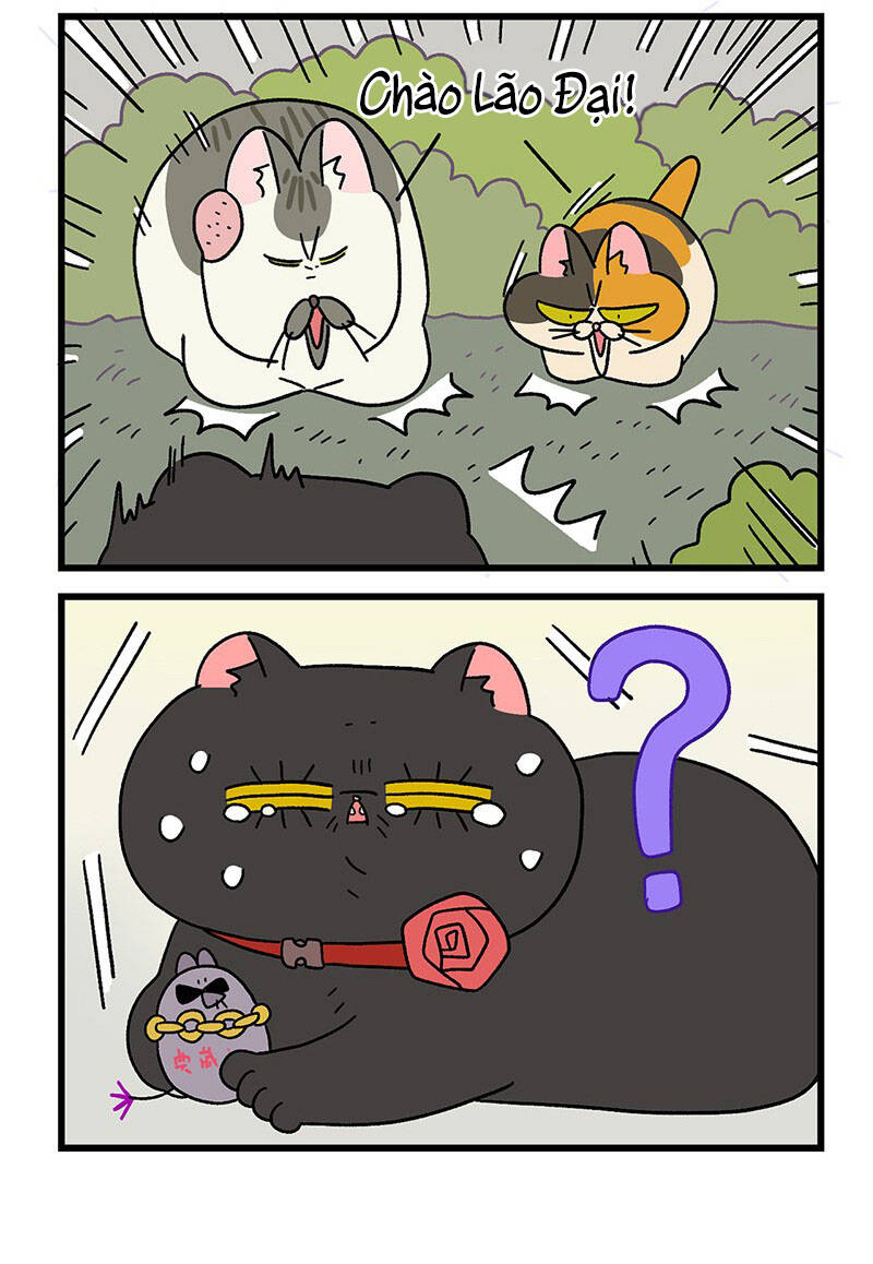 A Mãn Và Mạch Trà Chapter 37.1 - 6