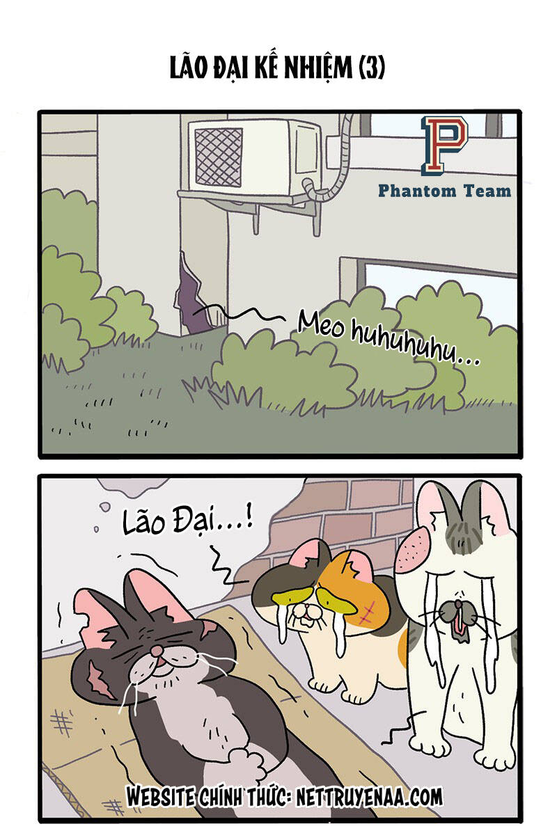 A Mãn Và Mạch Trà Chapter 37 - 5