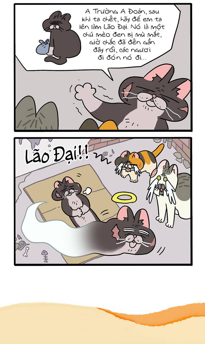 A Mãn Và Mạch Trà Chapter 37 - 6