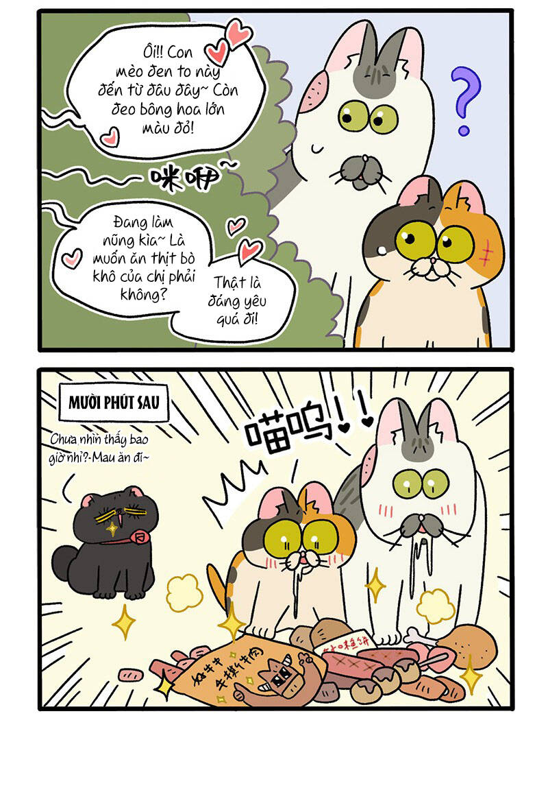 A Mãn Và Mạch Trà Chapter 38.1 - 4