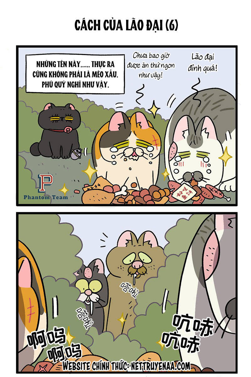 A Mãn Và Mạch Trà Chapter 38.1 - 5