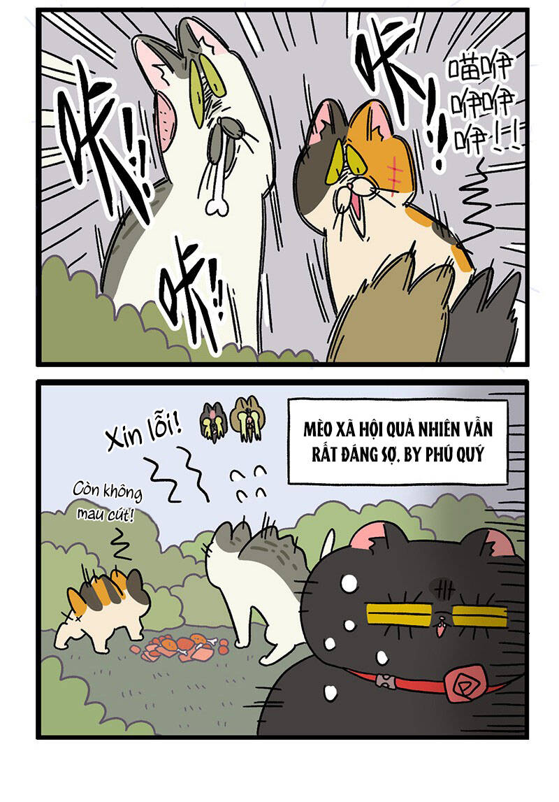 A Mãn Và Mạch Trà Chapter 38.1 - 6