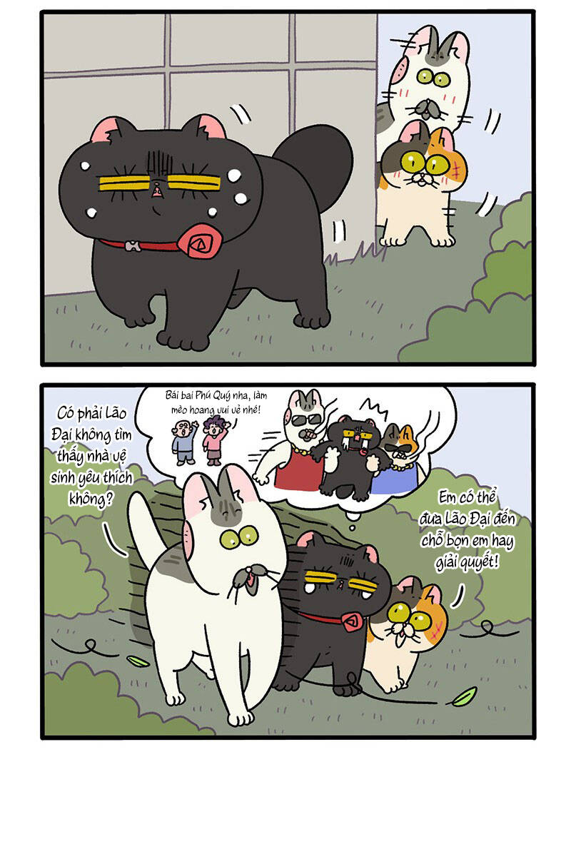 A Mãn Và Mạch Trà Chapter 38 - 4