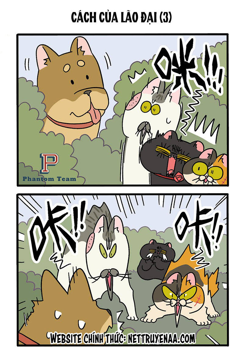 A Mãn Và Mạch Trà Chapter 38 - 5