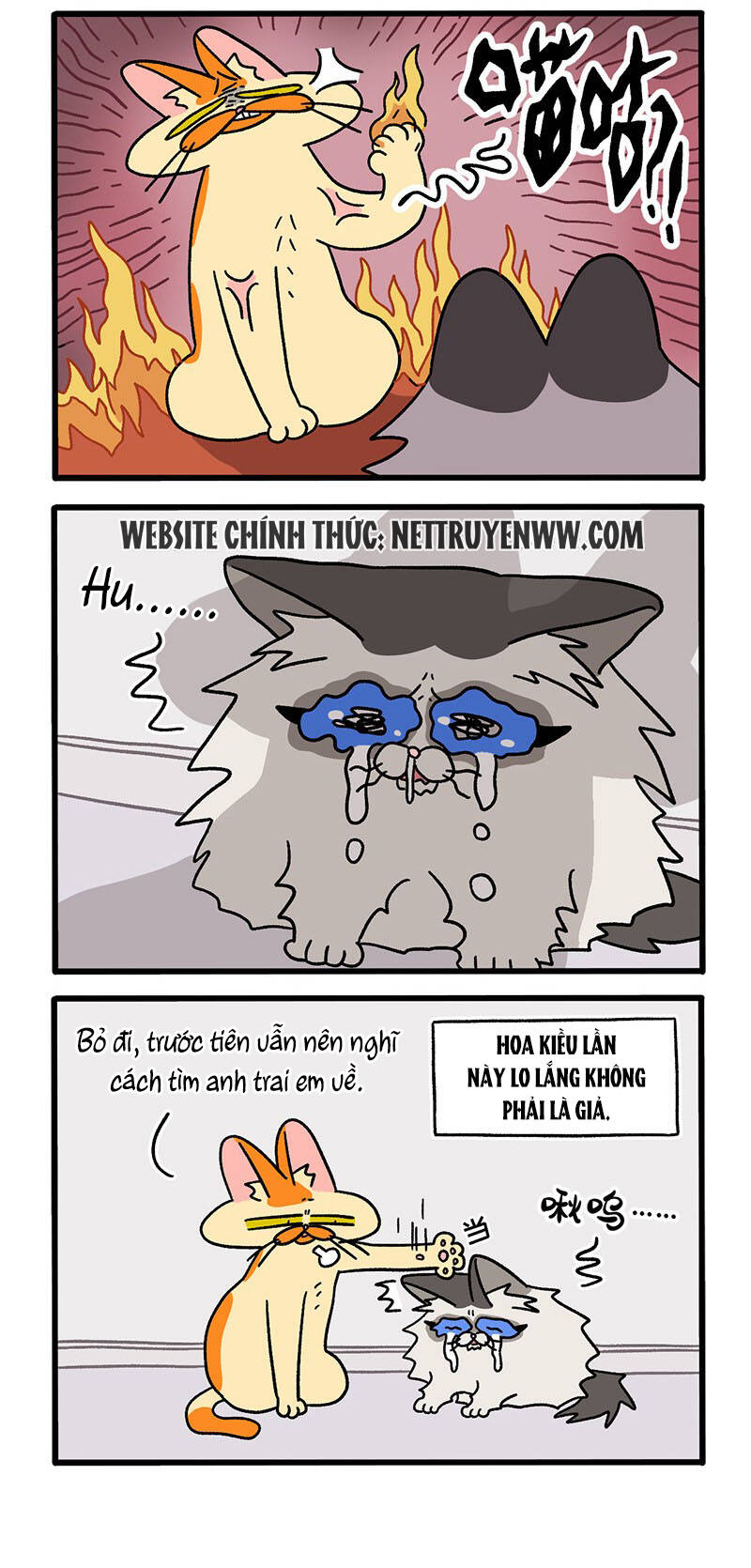 A Mãn Và Mạch Trà Chapter 39.1 - 2