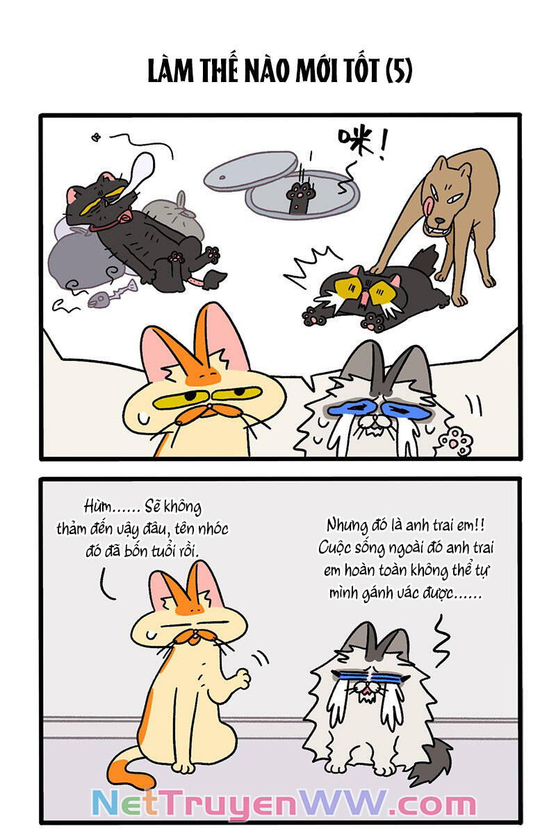 A Mãn Và Mạch Trà Chapter 39.1 - 3