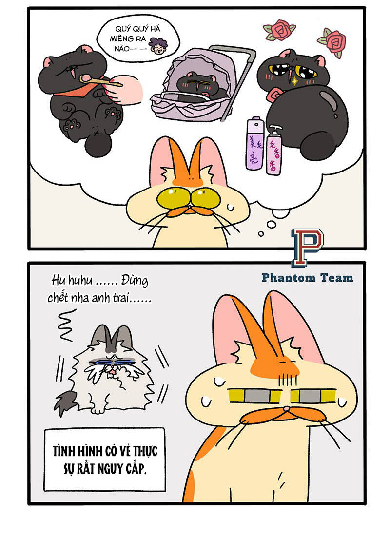 A Mãn Và Mạch Trà Chapter 39.1 - 4