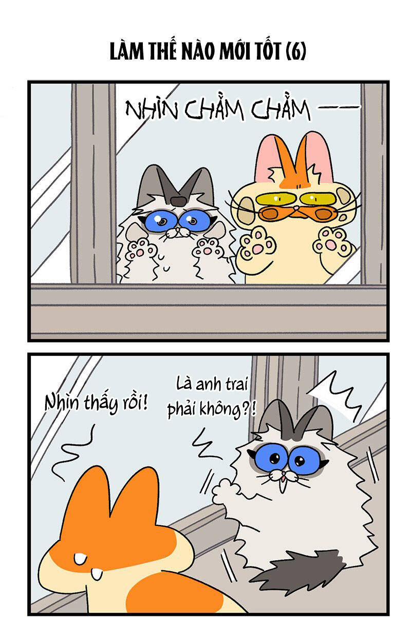 A Mãn Và Mạch Trà Chapter 39.1 - 5