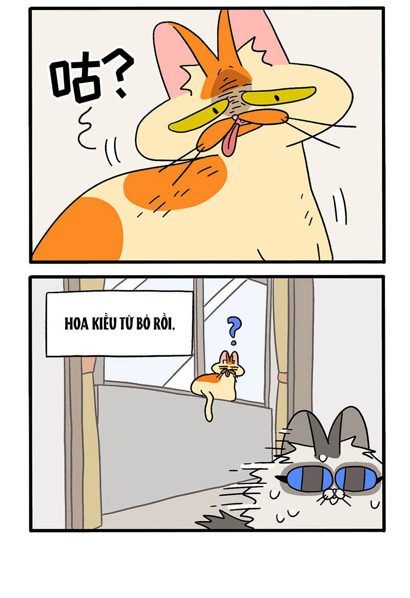 A Mãn Và Mạch Trà Chapter 39 - 4