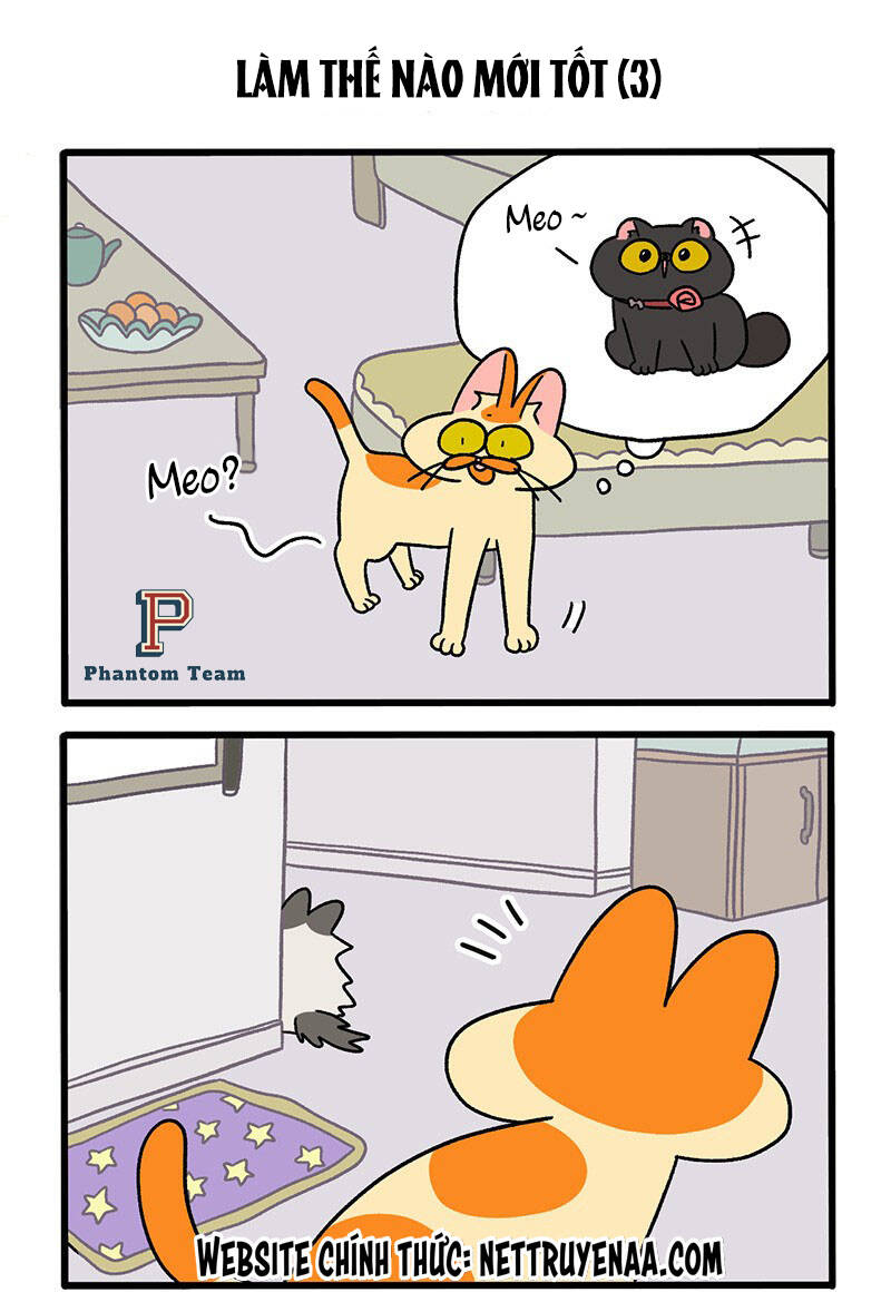 A Mãn Và Mạch Trà Chapter 39 - 5