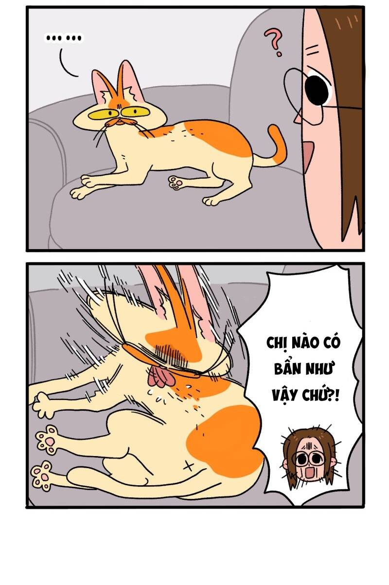 A Mãn Và Mạch Trà Chapter 4 - 4