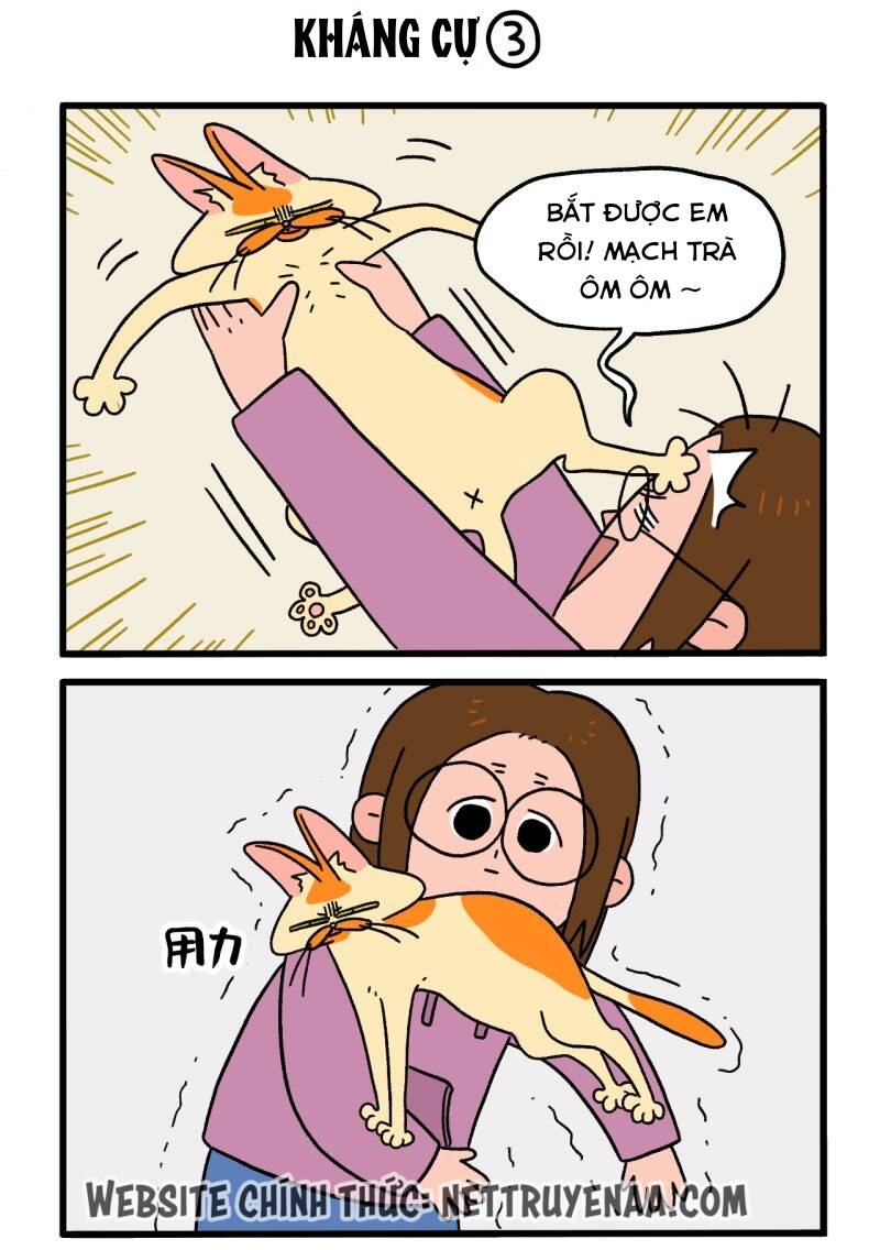 A Mãn Và Mạch Trà Chapter 4 - 5