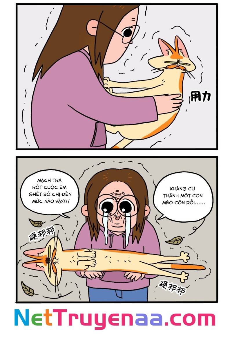 A Mãn Và Mạch Trà Chapter 4 - 6